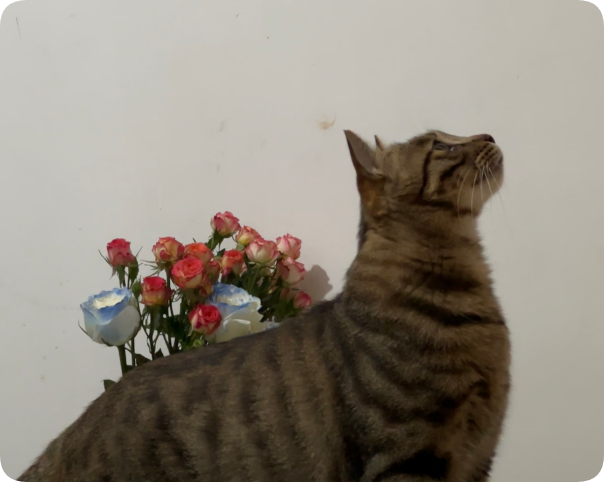 editor1757992435694934.png QQ_1757992389106.png